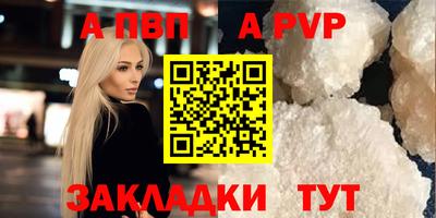 стафф Краснознаменск