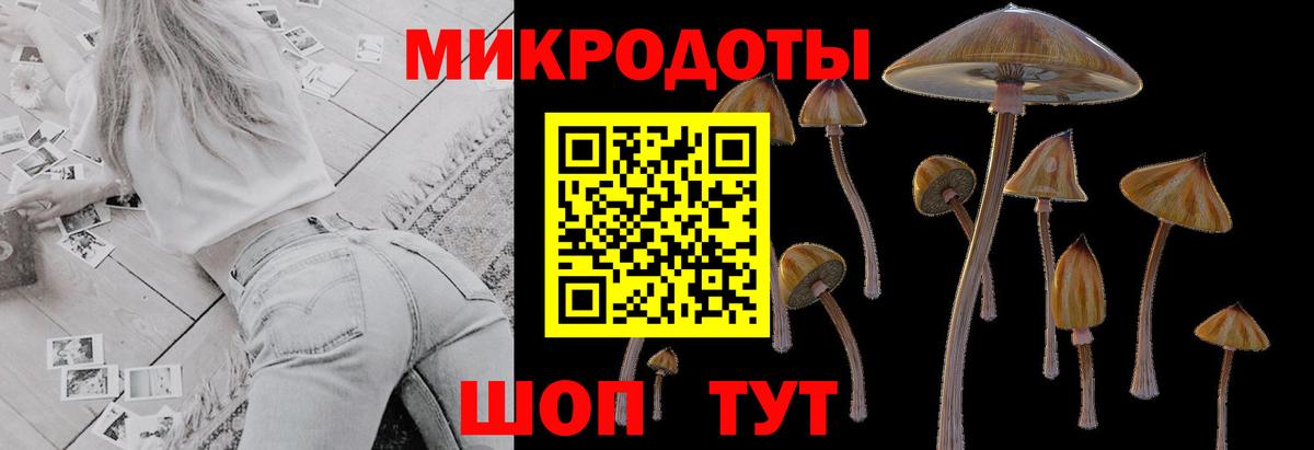 Псилоцибиновые грибы Cubensis Ишим